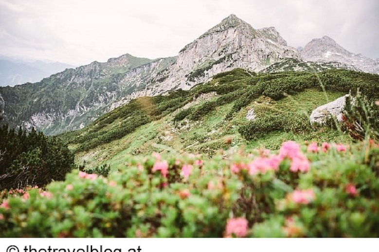 Hotel Trek Safari - King Dachstein Trail pro běžce